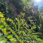 Renata Apartman Zalakaros
