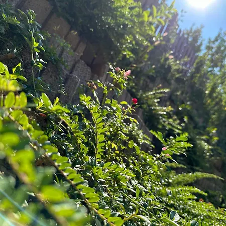 Renata Apartman Zalakaros