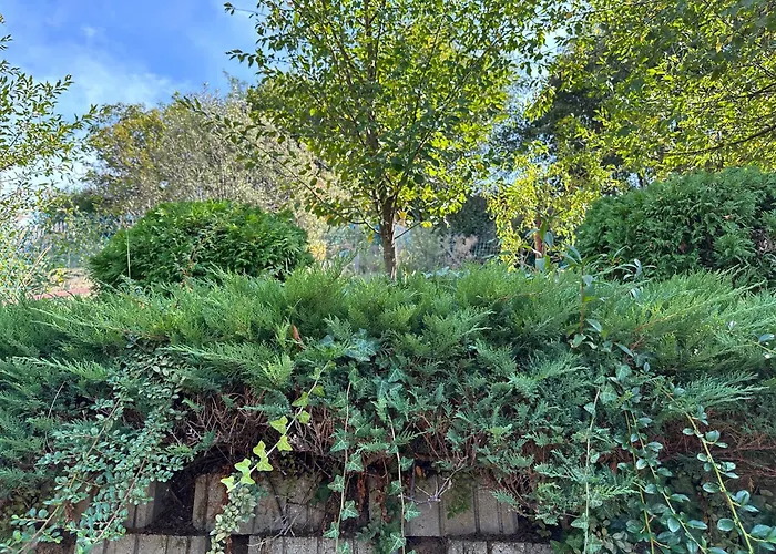 Renata * 잘라카로쉬