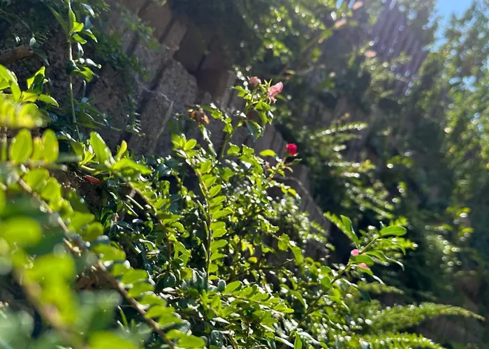 Renata 아파트 잘라카로쉬